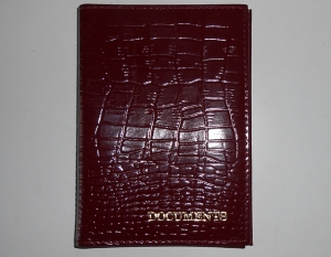 Автодокументы + паспорт